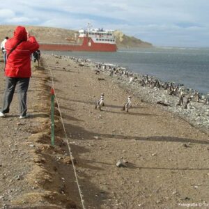 Punta Arenas Private Tour With Local Guide