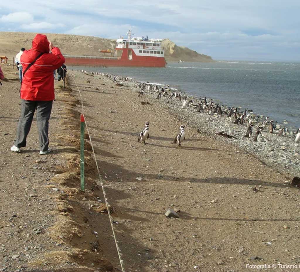 Punta Arenas Private Tour With Local Guide