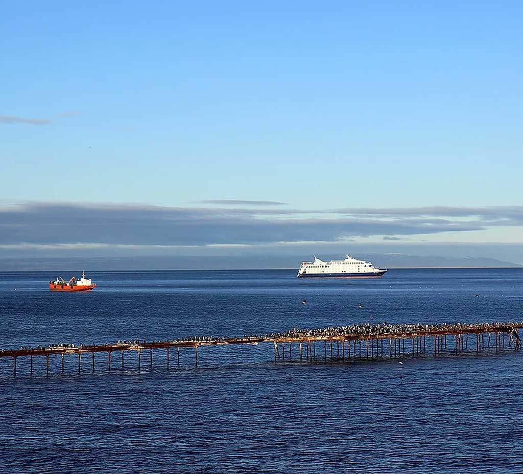 Punta Arenas With A Local Guide