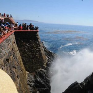 Ensenada Private Tour